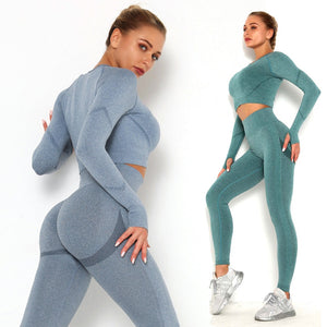 Yoga Clothing Set Sports Suit