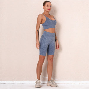 Yoga Set 2 Piece Sports Suit