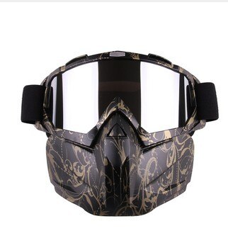 Windproof Skiing Glasses with Face Mask
