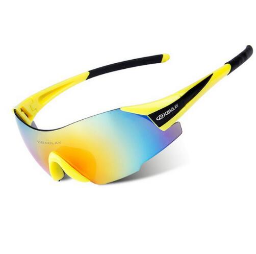 Sport Ski Goggles Motocycle Snowboarding Skateboard Eyewear