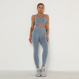 Yoga Clothing Set Sports Suit