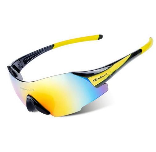 Sport Ski Goggles Motocycle Snowboarding Skateboard Eyewear