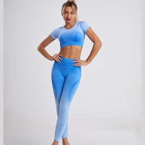 Two-piece Seamless Women's Yoga Suit