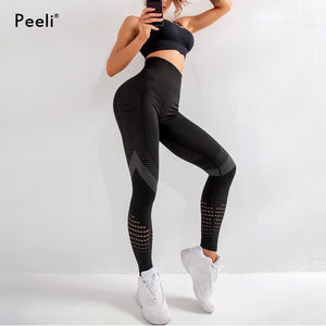 Peeli High Waist Seamless Leggings