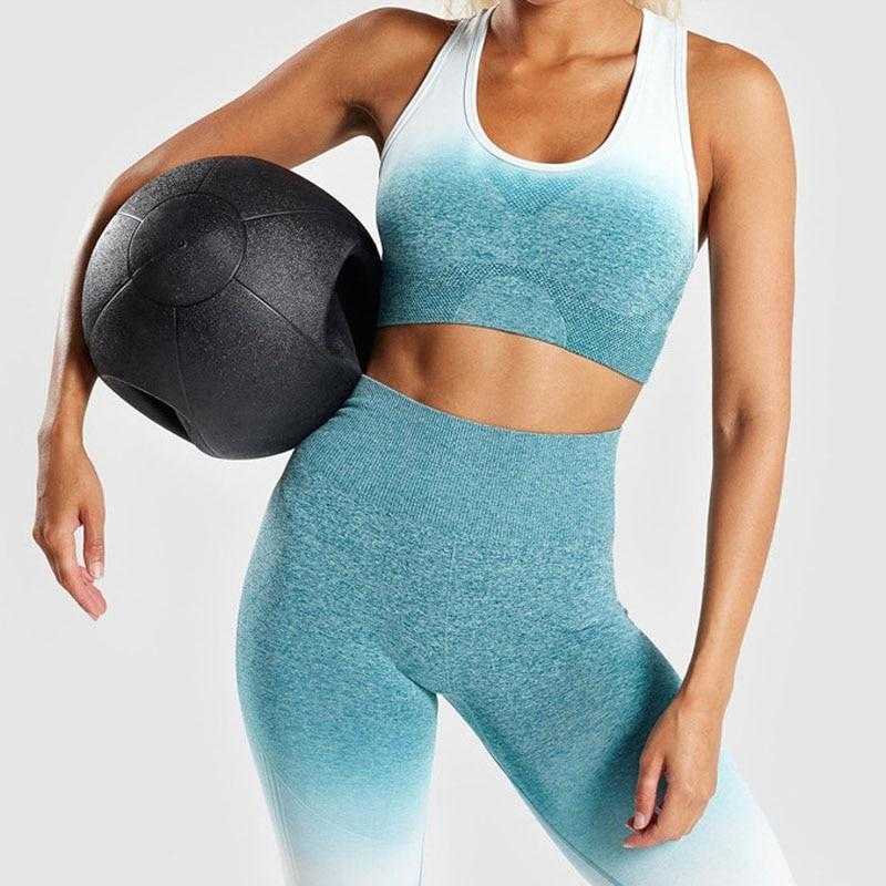 Ombre Seamless Sports Bra Push Up Gym Women Fitness | eprolo