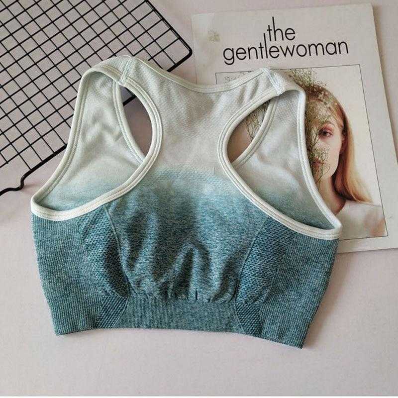 Ombre Seamless Sports Bra Push Up Gym Women Fitness | eprolo