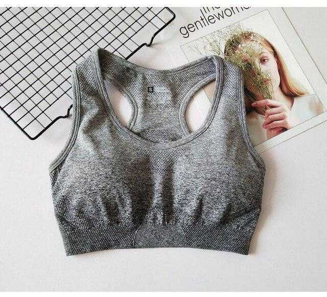 Ombre Seamless Sports Bra Push Up Gym Women Fitness | eprolo